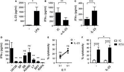 Interleukin (IL)-23 Stimulates IFN-γ Secretion by CD56bright Natural Killer Cells and Enhances IL-18-Driven Dendritic Cells Activation